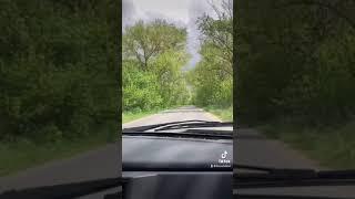 Киев) село) Украина) мир меняется ) новости страны )