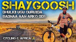 | SHAYGOOSH | DHULKII UGU QURUXDA BADNAA AAN ARKO DDS | CYCLING E. AFRICA | Ep 36