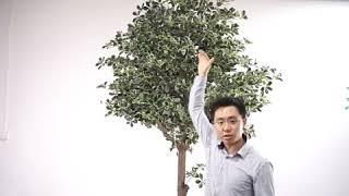 High quality of large artificial ficus tree with different color