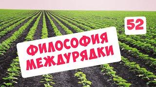 ФИЛОСОФИЯ МЕЖДУРЯДНОЙ КУЛЬТИВАЦИИ