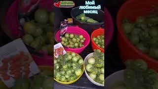 Мой любимый месяц - август! Я в этом месяце родилась 10.08) #семко #дача #урожай #томаты #семко