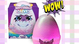 🩷ASMR / UNBOXING *VIRAL* HATCHIMALS MYSTERY HATCH #asmr #satisfying | oddly satisfying