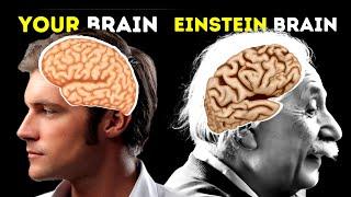 Einstein Brain vs Your Brain!