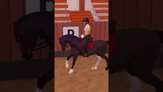 Fizzy does some training #horse #equinegame #horseriding #equinelife #horserides #horsefan