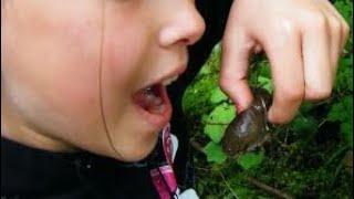 Sam Ballard Rugby player eats a slug as a dare and dies 8yrs later