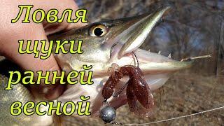 Ловля щуки ранней весной на спиннинг. Джиг в марте