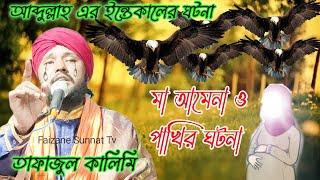 মা আমেনা ও পাখির ঘটনা | tafajul kalimi jiboni | Hazrat Mohammed Jivani