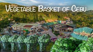 MARKET DAY TOUR ~ The Vegetable Basket of Cebu - Mantalongon, Dalaguete