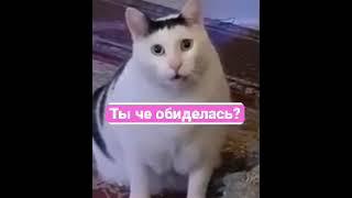 Ты че обиделась?