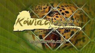 The Kowiachobee Animal Preserve Experience!