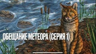 Аудиокнига КОТЫ-ВОИТЕЛИ «Обещание Метеора» («Западня»). Серия 1