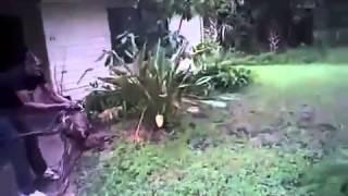 Cop TASERs Pit Bull Attacking Family