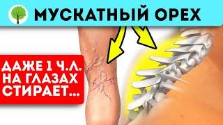 Зачем есть мускатный орех? Лечебный свойства ореха впечатляют