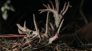 FREAK SHOW - The Largest Buck I’ve Ever Encountered | Mark V. Peterson Hunting