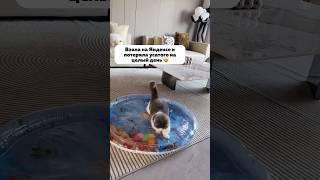 Артикул на Яндекс Маркет: YM10087035