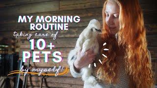 My morning routine - how I take care of over 10 pets by myself | Artist in the Finnish countryside