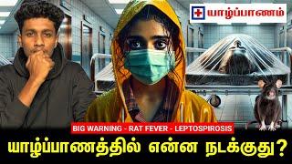 ️யாழ்ப்பாணத்தில் தீவிரமடையும் எலிக்காய்ச்சல்! இதிலிருந்து தப்புவது எப்படி? இதோ!!! | VK Karikalan