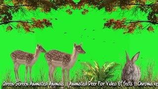 Green Screen Animated Animals || Animated Deer For Video Effects || SD green screen