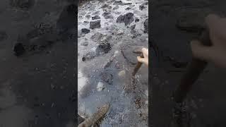 Бурение на болоте #геологоразведка #тундра