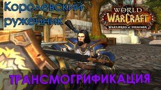 Королевский ружейник, трансмогрификация Wow (Охотник, Шаман)  UPD Теперь только латы