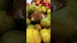 Butterfly 's Sweet stop  #Nature #youtubeshorts   #shortvideo #shorts #shortsfeed