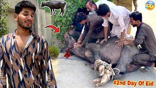 Sultan Zibha Ho Gya Sultan No More 