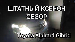 Штатный ксенон на Toyota Alphard Gibrid