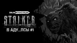 S.T.A.L.K.E.R.: В АДУ...ПСЫ  Stream #1