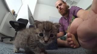 Terry vs. Action Cam