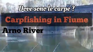 Carpfishing   Dove sono le carpe? FIUME ARNO