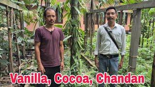Vanilla Cocoa Chandan puli nanggiparangde man.gen