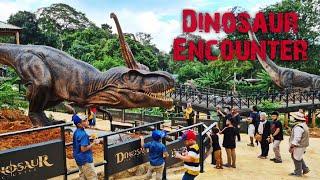 Dinosaur Encounter | Zoo Melaka Tour - First Day Opening 25 Dec 2020