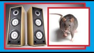 Ultrasound specifically designed to keep mice away from your home - really effective