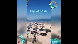 !!ВТОРОЙ ШАНС!! #capitalwhale