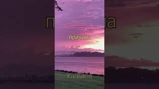 Почему мы опаздываем #кучарин #психология