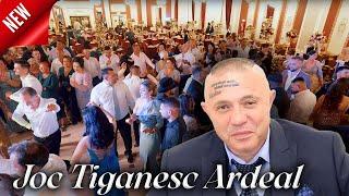 Nicolae Guta - Joc Tiganesc   Ardeal   | Live 2024    