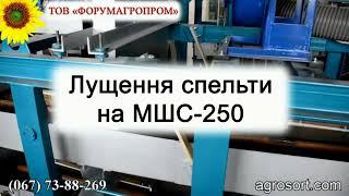 Лущення спельти на МШС 250 / Peeling spelled on the MSHS 250