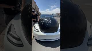 Crazy PPF Tesla Removal Process #shorts