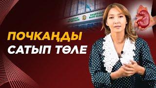 Коллекторға заңмен жауап бер! Кредит төлемесе не болады? Кредит туралы жаңалыктар 2021.