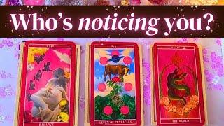 Who's NOTICING you?  PICK A CARD  Tarot Reading | Detailed & Timeless! 