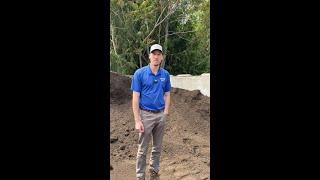 We have our own compost