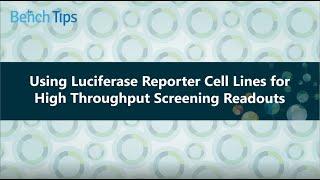 Using Luciferase Reporter Cell Lines for High Throughput Screening Readouts