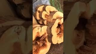 #спилы #кипарис