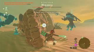 Boss: Molduga, Toruma Dunes | The Legend of Zelda: Tears of the Kingdom