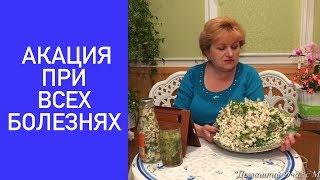 Полезные свойства белой акации. Все заболевания.