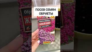 ОБРИЕТА ПОСЕВ СЕМЯН НА РАССАДУ #обриета #посевсемян #цветы #посевцветов