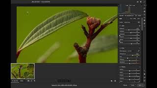 How to edit your photographs using Adobe Camera RAW 2025