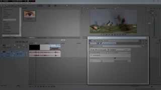 Как сделать 3D эффект в Sony Vegas 10