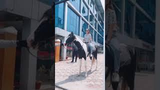 Melina Rai || New Nepali Song || Best of Melina Rai