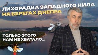 Лихорадка Западного Нила на берегах Днепра